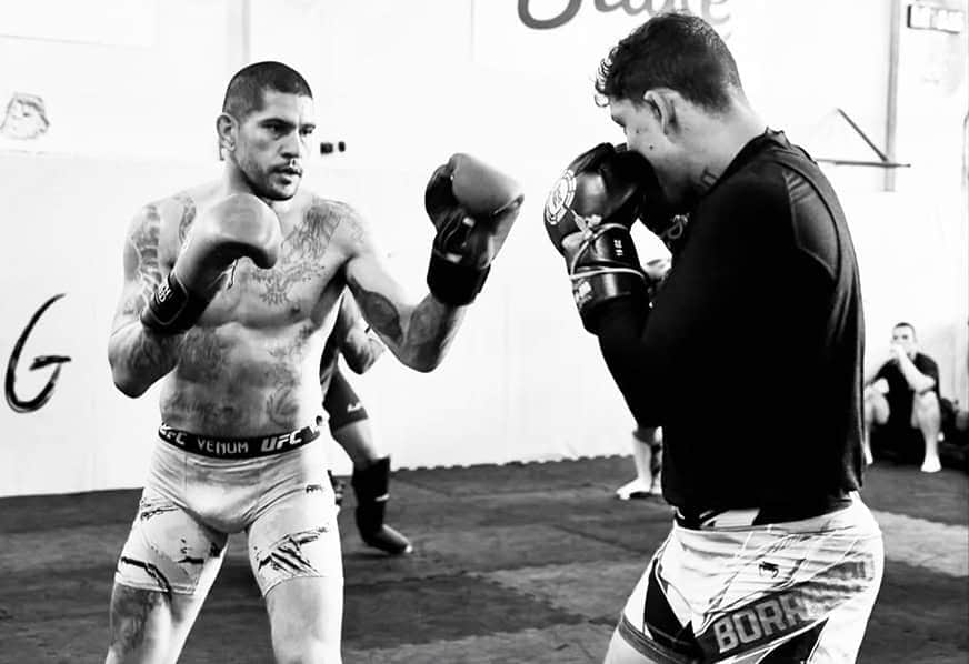 La Ventaja de Entrenar Todos Los Días Según Alex Pereira